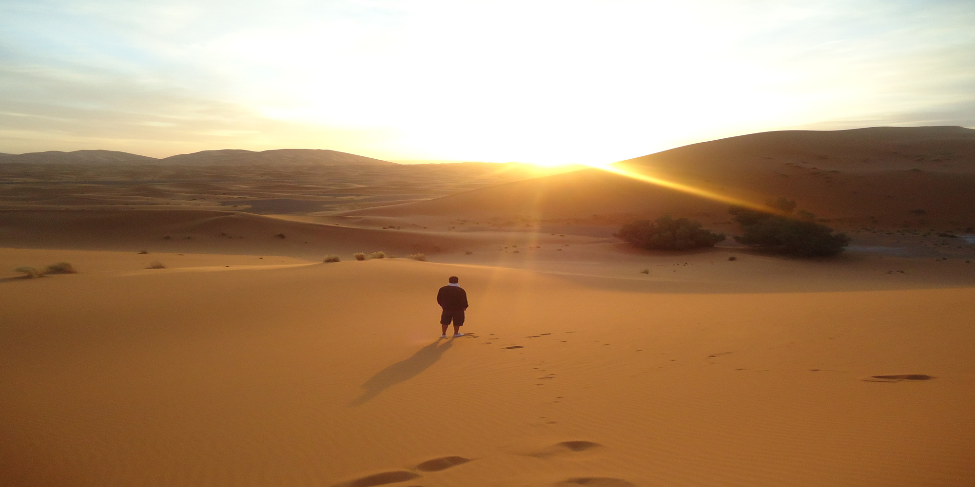 Sahara Safari https://onedreamtours.com/