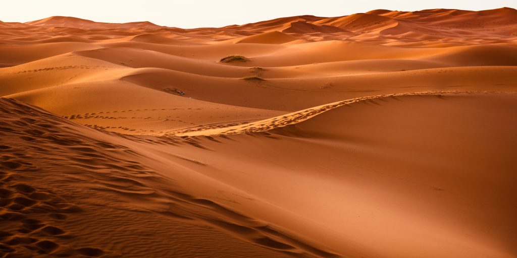 sahara https://onedreamtours.com/