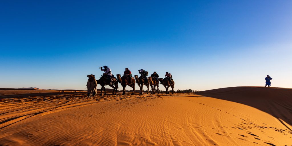 sahara https://onedreamtours.com/