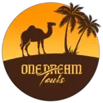 ONE DREAM TOURS