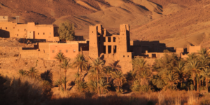 Oases Oasis https://onedreamtours.com/