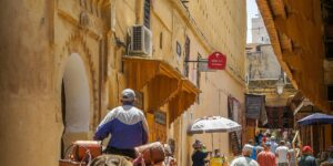 Street Food https://onedreamtours.com/