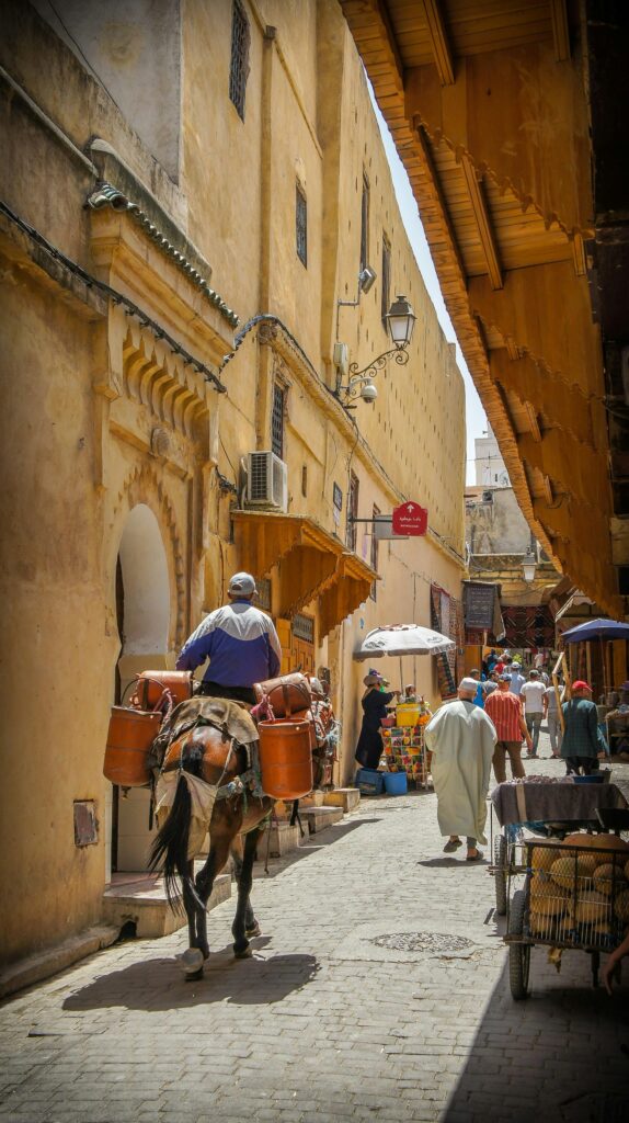 Street Food https://onedreamtours.com/