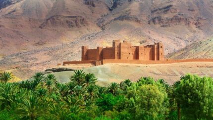 Thousand Kasbahs & Draa Valley Adventure
